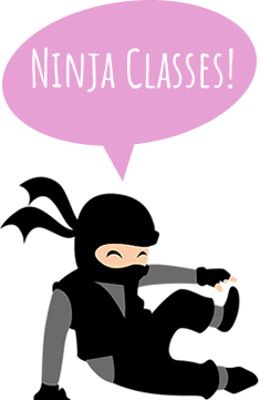 Ninja classes at Ninja Zone